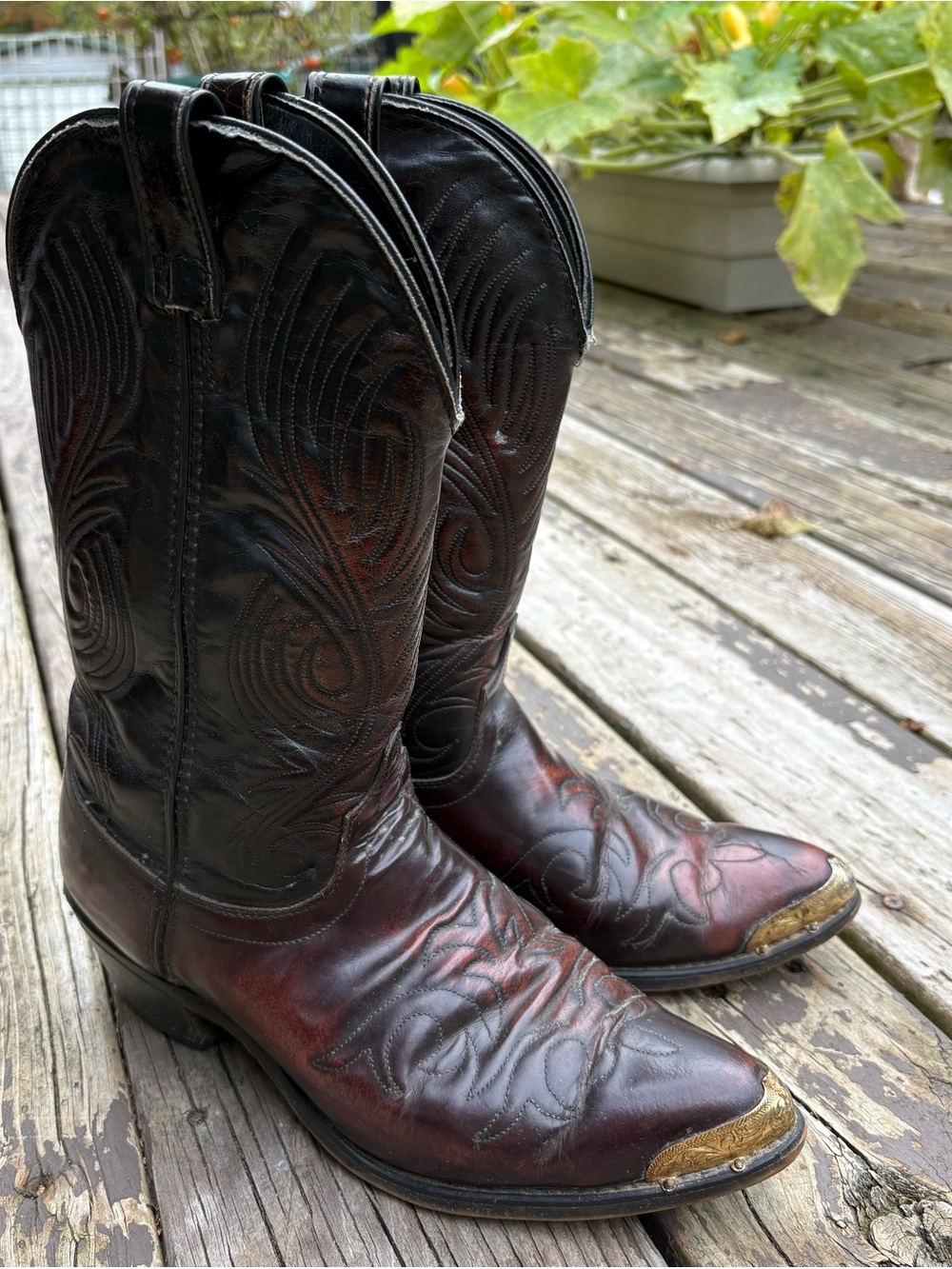 Laredo Men's Western Steel Toe Tip Cowboy Boots in Dark Brown size 9
